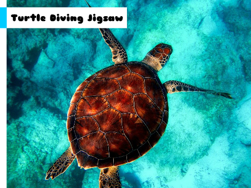 Play Turtle Diving Jigsaw Online