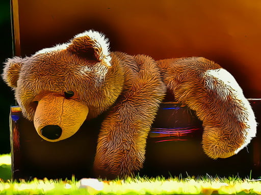 Play Plush Teddy Bear