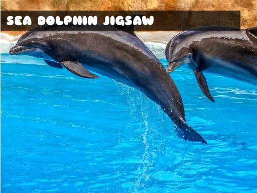 Play Sea Dolphin Jigsaw