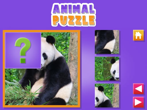 Play Animal Puzzle
