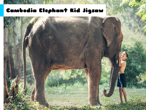 Play Cambodia Elephant Kid Jigsaw
