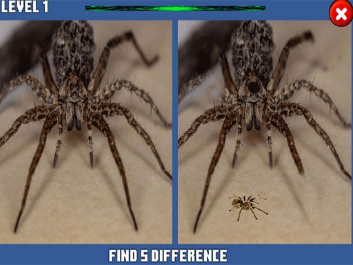 Spider Hidden Difference