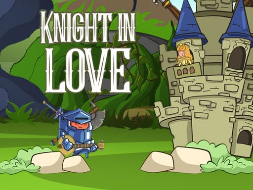 Play Knight in Love Online