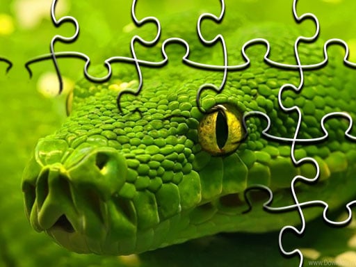 Snakes Jigsaw Puzzle Online Puzzle Games on NaptechGames.com
