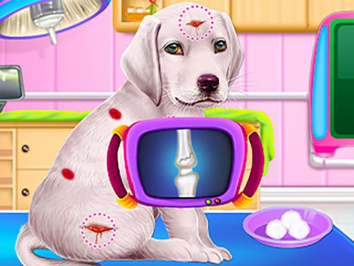 https://shossu.com/game/labrador-puppy-daycare-salon