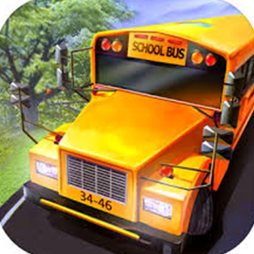 Real School Bus Driving