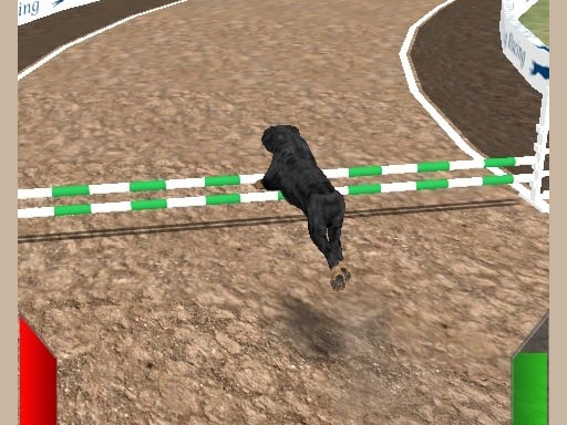 Crazy Real Dog Race Online Racing Games on NaptechGames.com
