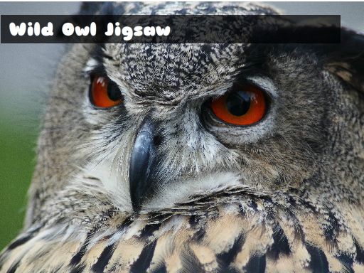 Play Wild owl Jigsaw