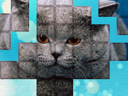 Play PicPu - Cat Puzzle