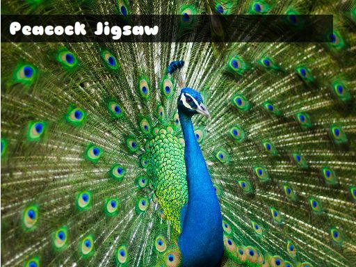 Play Peacock Jigsaw