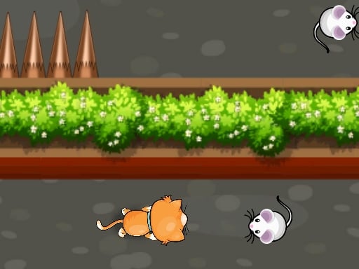 Cat Trap Labyrinth Escape - Play Free Best Hypercasual Online Game on JangoGames.com