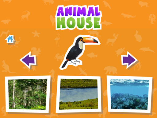 Play Animal  House game