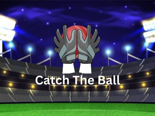 Catch The Ball Online Sports Games on NaptechGames.com