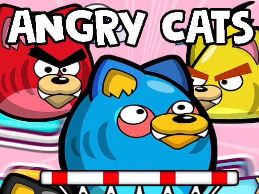 Angry Cats Online Sports Games on NaptechGames.com