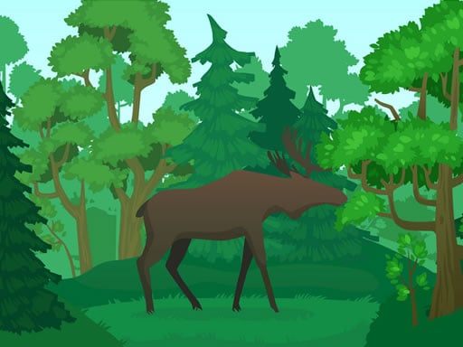 Play Wild Animals Coloring Online