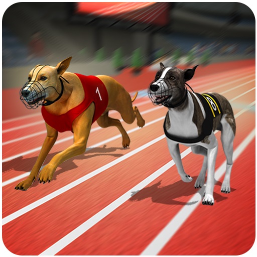 dog racing games online