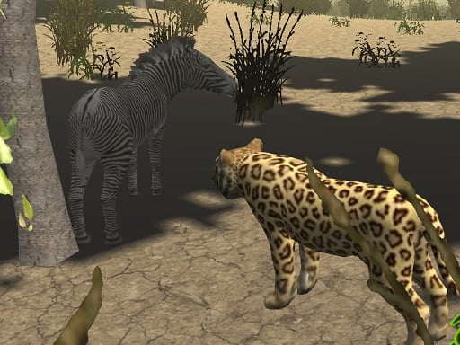 African Cheetah Hu...