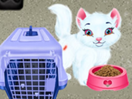 Play Baby Taylor Pet Care - Save Cute Animals