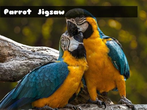 Play Parrot Jigsaw