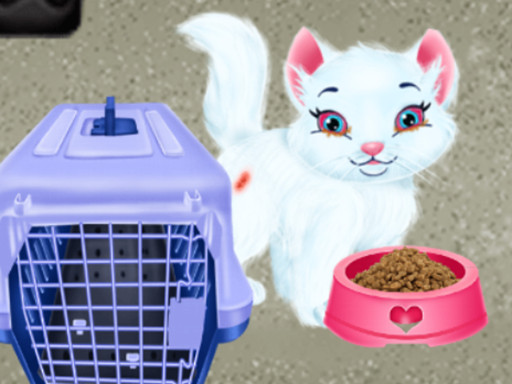 Play Baby Taylor Pet Care