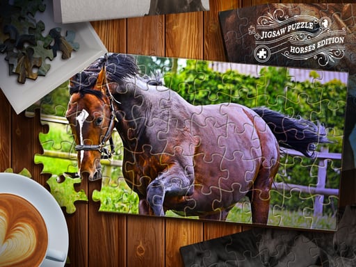 Jigsaw Puzzle Horses Edition - Puzzles