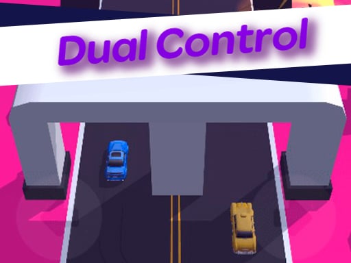 Dual Control 3D Online Racing Games on NaptechGames.com