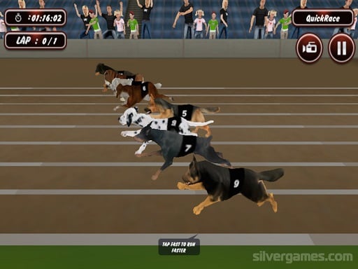 Crazy Dog Racing Simulator Games 3D Online Adventure Games on NaptechGames.com
