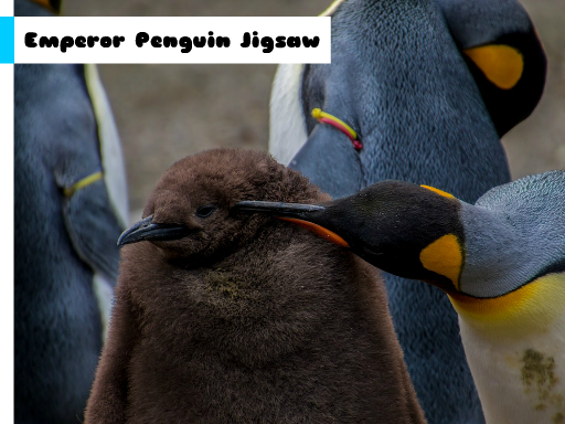 Play Emperor Penguin Jigsaw Online