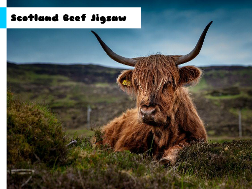 Play Scotland Beef Jigsaw Online
