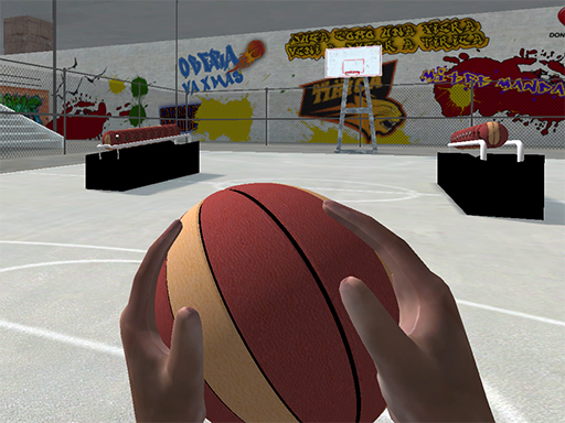 http://codeszenith.site/game/basketball-simulator-3d