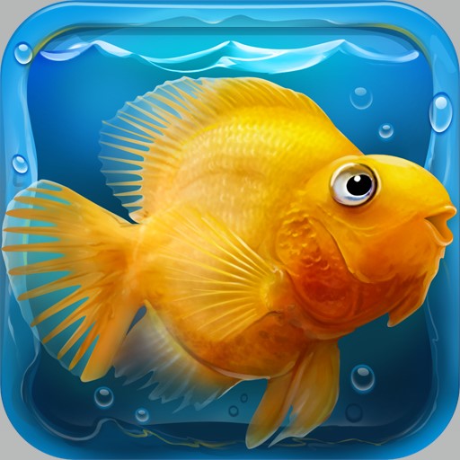 Fish tank Aquarium