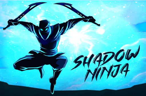 Shadow Ninja Warriors