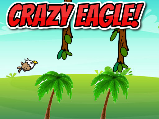 CRAZY EAGLE Online Arcade Games on NaptechGames.com