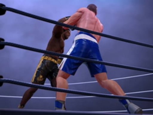 Ultimate Boxing - The Boxing King Online Sports Games on NaptechGames.com
