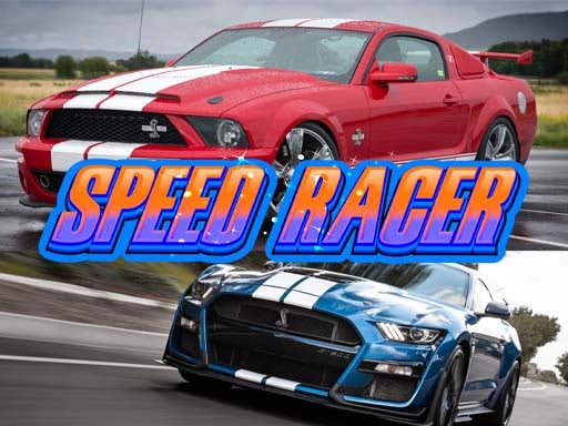 Play SPEED RACER GO