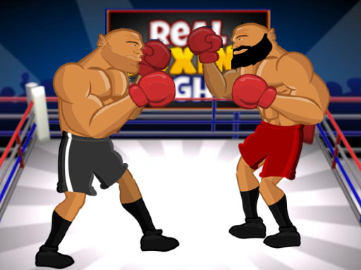 Watch Real Boxing Fight
