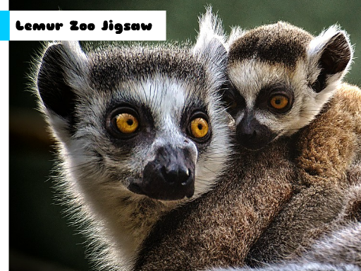 Play Lemur Zoo Jigsaw