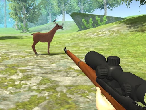 Deer Hunter 3D Online Shooting Games on NaptechGames.com