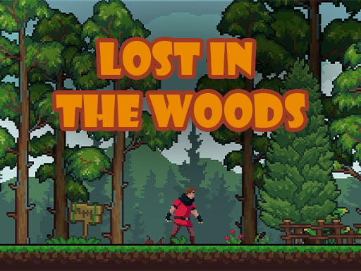 Lost in the Woods - Play Free Best Arcade Online Game on JangoGames.com
