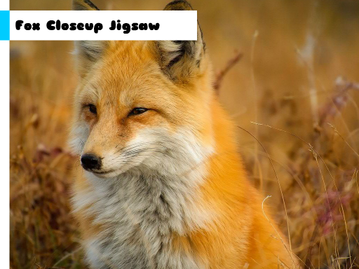 Play Fox Closeup Jigsaw Online